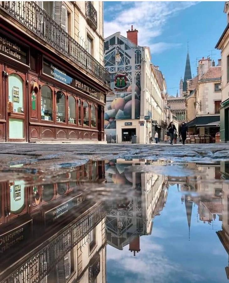 Charmante Maison Climatisee Avec Son Jardin A 5 Minutes De Dijon Saint-Apollinaire  Exterior foto